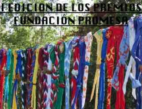El Grupo Scout Santa Ana San Rafael presenta su propuesta para LOS PREMIOS FUNDACIÓN PROMESA