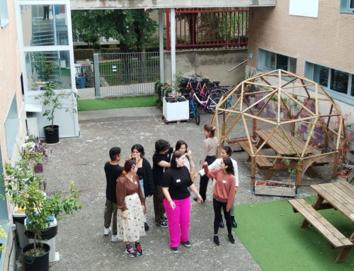 🌿 Fundación Promesa desarrollará un Campo Internacional de Voluntariado Juvenil en 2026 gracias al apoyo de la Dirección General de Juventud